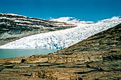 Norvegia regione dello Helgeland. Visita allo Svartisen, il secondo ghiacciaio norvegese, lo Osterdalsisen la più famosa delle 60 lingue del ghiacciaio.
